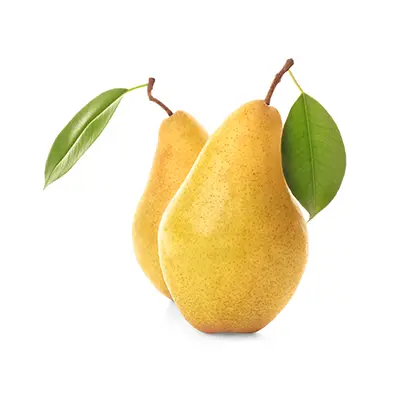 ویژگی نهال گلابی دوچی