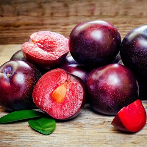 قیمت نهال آلو خونی